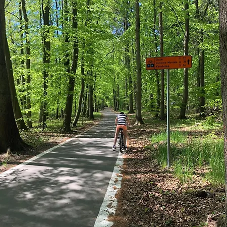 Lazurowy Brzeg Mielenko